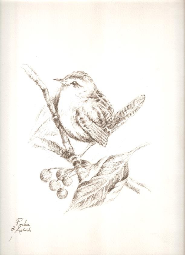Sketch by RooHee Ali Khan