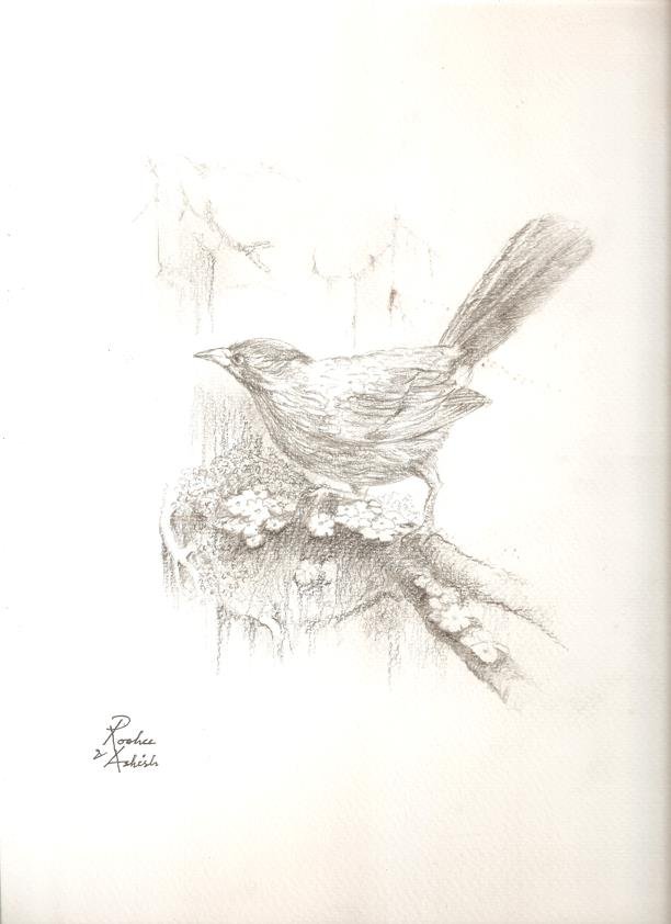 Sketch by RooHee Ali Khan